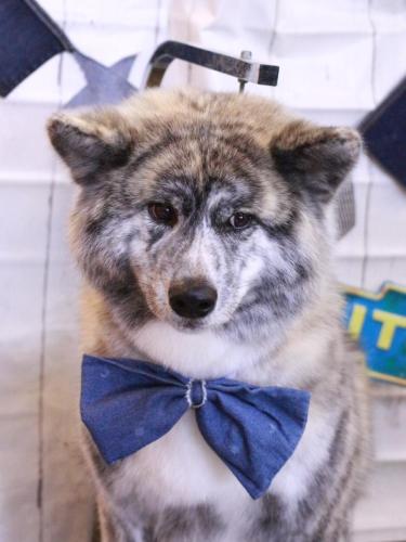 20230406むぎくん